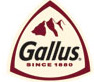 Gallus