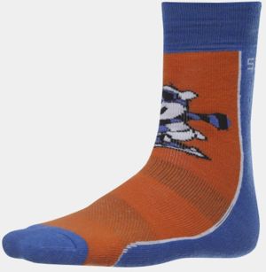 Modro-hnedé chlapčenské ponožky SAM 73 Matanuska