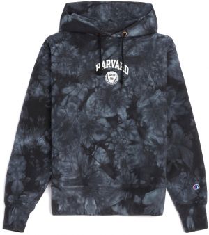 Champion Hooded Sweatshirt