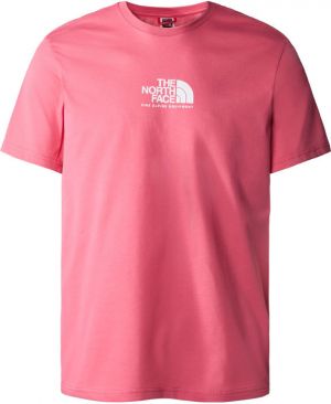 The North Face M Fine Alpine Equipment Tee 3