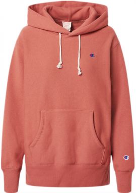 Champion Hooded Sweatshirt