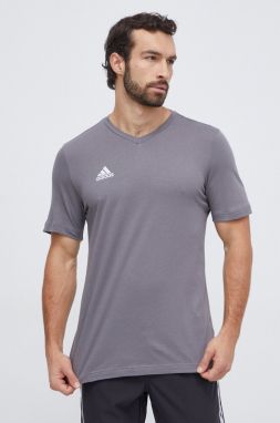Tričko adidas Performance Entrada 22 šedá farba, s nášivkou,  HC0449