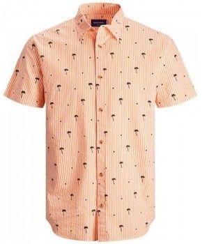 Košele s krátkym rukávom Jack & Jones  CAMISA MANGA CORTA HOMBRE JACK JONES 12187951