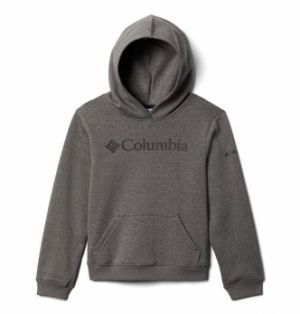 Mikiny Columbia  COLUMBIA TREK HOODIE