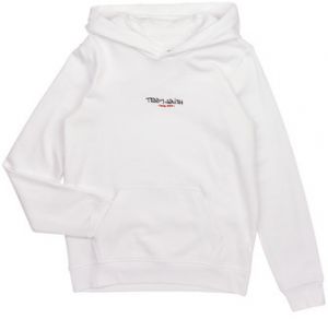 Mikiny Teddy Smith  S-JOG HOODY