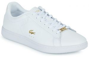 Nízke tenisky Lacoste  CARNABY