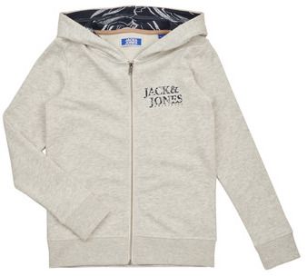 Mikiny Jack & Jones  JORCRAYON SWEAT ZIP HOOD