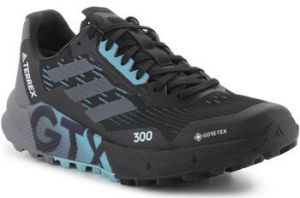 Bežecká a trailová obuv adidas  Adidas Terrex Agravic Flow 2 GTX H03382