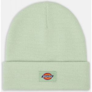 Čiapky Dickies  Gibsland beanie