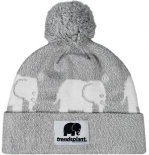 Čiapky Trendsplant  GORRO UNISEX  GREY 027070USGR