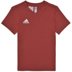 Tričká s krátkym rukávom adidas  ENT22 TEE Y