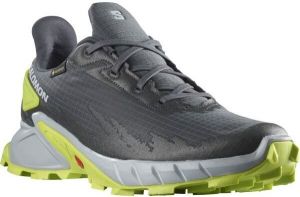 Salomon ALPHACROSS 4 GTX Pánska trailová obuv, sivá, veľkosť 44 2/3