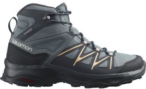 Salomon DAINTREE MID GTX W Dámska turistická obuv, sivá, veľkosť 37 1/3