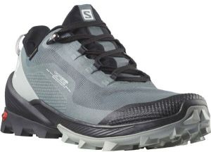 Salomon CROSS OVER GTX W Dámska turistická obuv, sivá, veľkosť 37 1/3