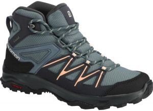 Salomon DAINTREE MID GTX W Dámska turistická obuv, sivá, veľkosť 40