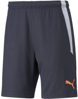 Puma TEAMLIGA TRAINING SHORTS 2 Pánske futbalové šortky, čierna, veľkosť