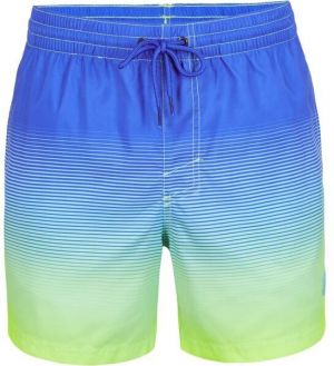 O'Neill CALI GRADIENT 15'' SWIM SHORTS Pánske kúpacie šortky, modrá, veľkosť