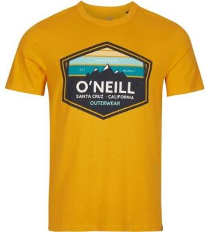 O'Neill MTN HORIZON T-SHIRT Pánske tričko, oranžová, veľkosť