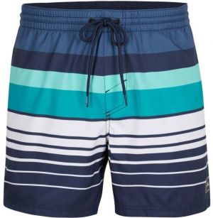 O'Neill HORIZON SHORTS Pánske plavecké šortky, modrá, veľkosť