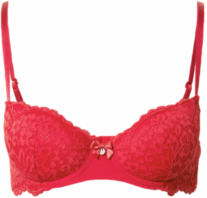 Hunkemöller Podprsenka 'Rose'  červená