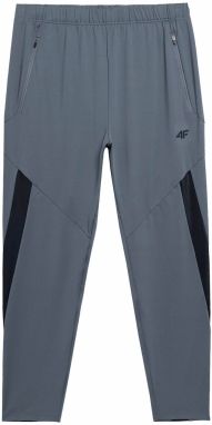 4F Športové nohavice  modrosivá / čierna