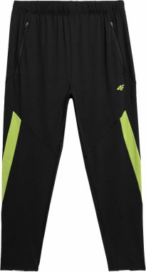 4F Športové nohavice  zelená / čierna