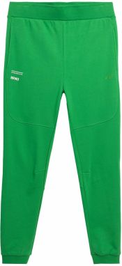 4F Športové nohavice  trávovo zelená / biela