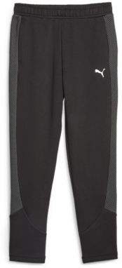 PUMA Športové nohavice 'EvoStripe'  čadičová / čierna / biela