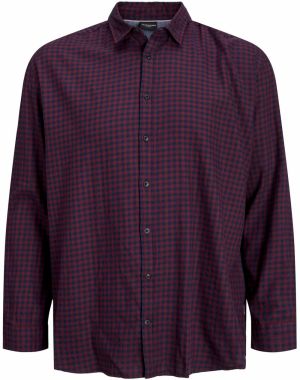 Jack & Jones Plus Košeľa 'Gingham'  námornícka modrá / farba lesného ovocia