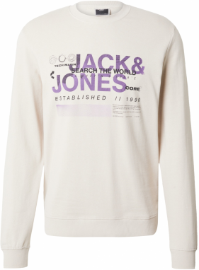 JACK & JONES Mikina 'WATER'  sivá / tmavofialová / čierna