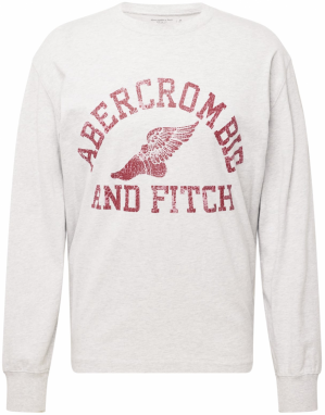 Abercrombie & Fitch Tričko  svetlosivá / biela