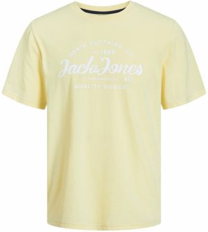 JACK & JONES Tričko 'FOREST'  žltá / biela