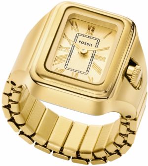 FOSSIL Analógové hodinky 'RAQUEL'  zlatá / čierna