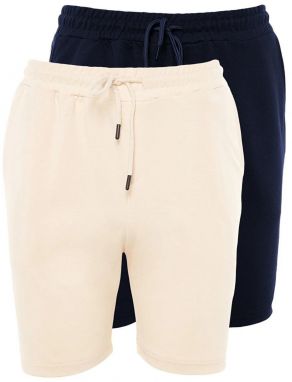 Trendyol Navy Blue-Stone Basic Regular/Normal Cut 2-Pack Shorts