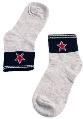 Children's socks Shelvt gray with asterisk