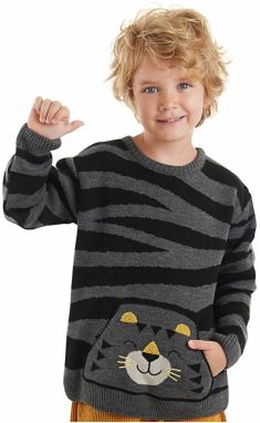 Denokids Tiger Boy Gray Sweater