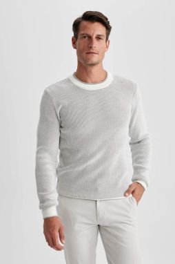 DEFACTO Standard Fit Crew Neck Knitwear Pullover