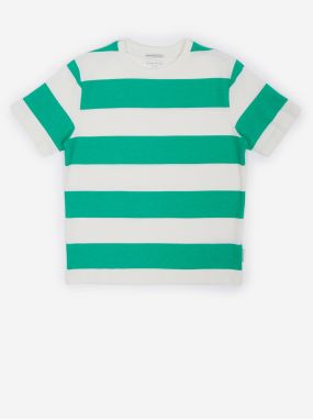 White and Green Boys Striped T-Shirt Tom Tailor - Boys