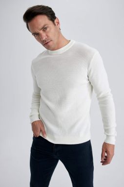 DEFACTO Standard Fit Crew Neck Knitwear Pullover