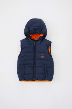 DEFACTO Baby Boy Hooded Vest