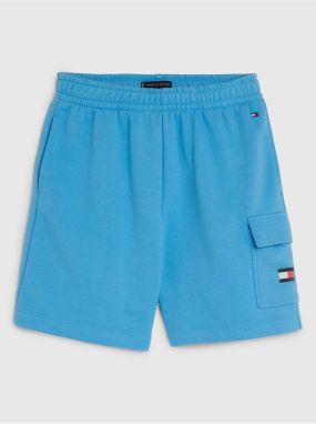 Blue Boys Sweatpants Tommy Hilfiger - Boys