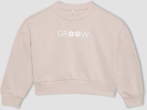 DEFACTO Relax Fit Crew Neck Sweatshirt