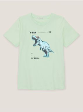 Light Green Boys T-Shirt Tom Tailor - Boys