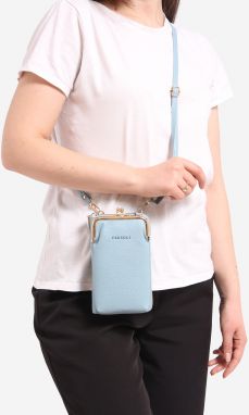 Wallet small handbag Shelvt blue
