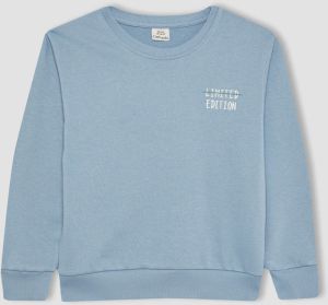 DEFACTO Regular Fit Crew Neck Sweatshirt