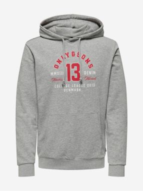 Light grey men's hooded sweatshirt ONLY & SONS Lenny - Men