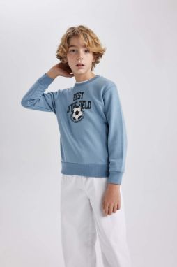 DEFACTO Boy Crew Neck Printed Thick Sweatshirt