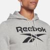 Reebok Identity Big Logo Hoodie H54477 galéria