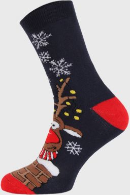 Vianočné ponožky Rudy