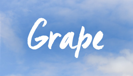 Fotoreport Grape 2016: Ako vyzeral nevinný a biely 7. ročník